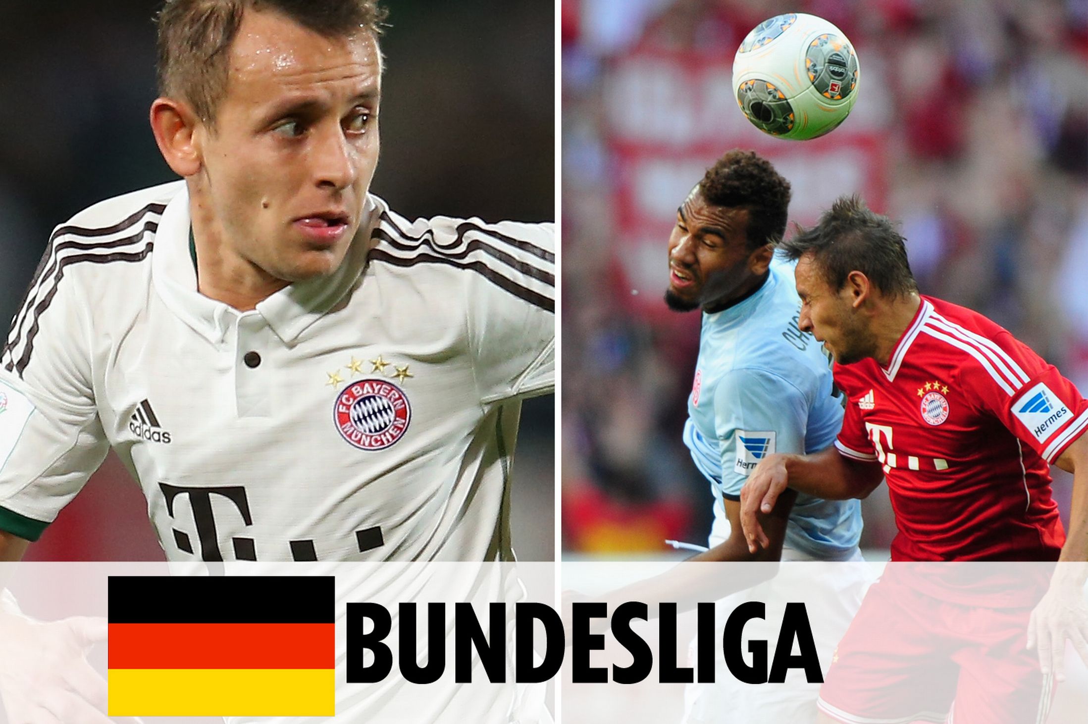 延长室和水平调整装置